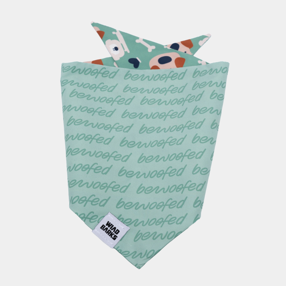 Dog Bandana