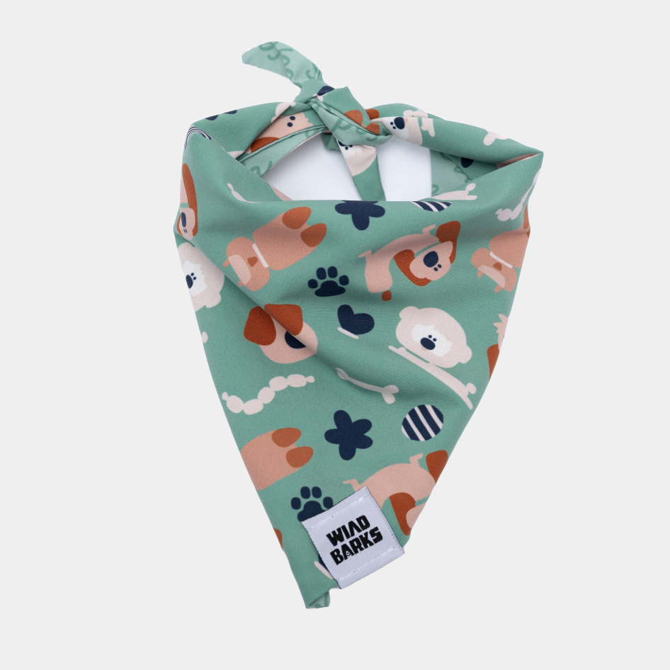 Dog Bandana